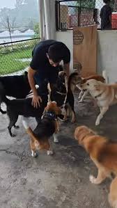 Professionally Managed Service