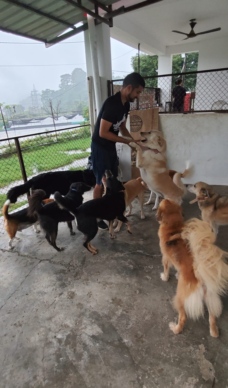 Positive Reinforcement Training